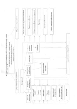 Структура управления МБДОУ «Золотой петушок»
